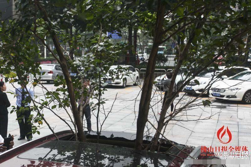 一辆停在停车位上的宝马轿车，被坠落的树枝砸中，树枝径直插入车内，现场引发不少市民围观拍照。