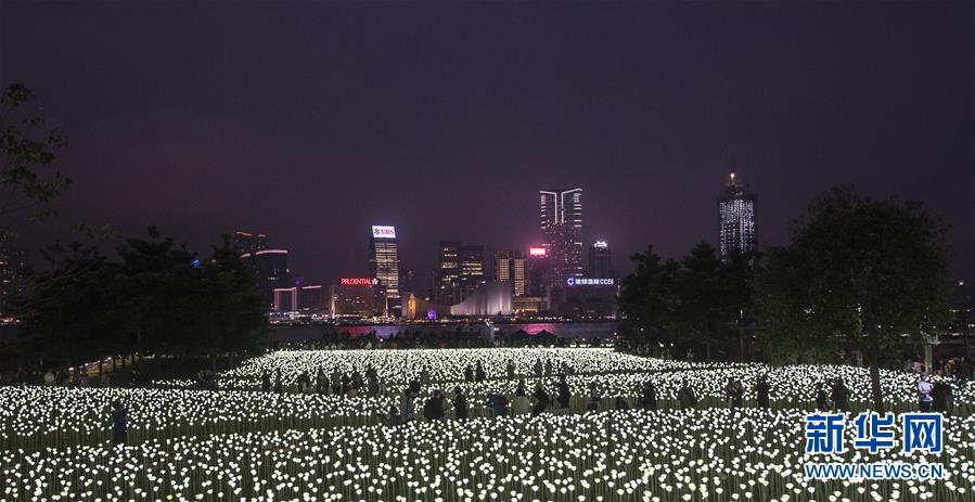 （晚报）（1）香港玫瑰灯海点亮维港