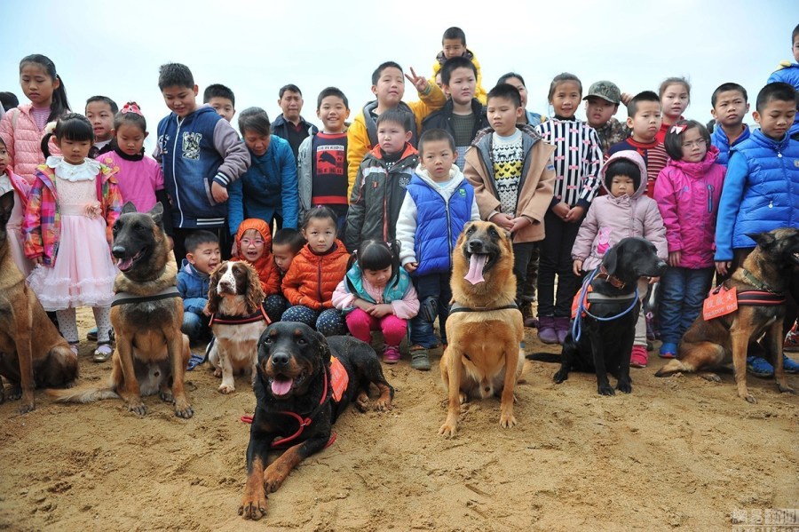 广西200市民“零距离”接触搜救犬