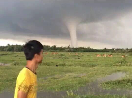 海南突发龙卷风 已致10人死伤