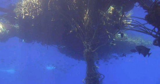 美国无人机发现海啸垃圾形成永久性 塑料岛屿 (组图)