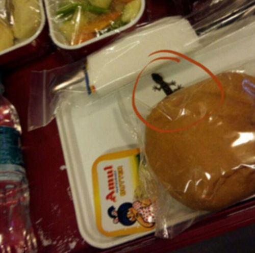 印度航空否认网传“航空餐惊现蜥蜴”照片真实性