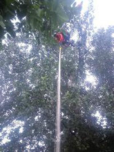 男子玩滑翔伞不慎挂树上 倒吊3个多小时摔下(图)