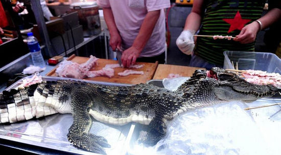 沈阳现“烤鳄鱼肉”20元一串现烤现卖(图)