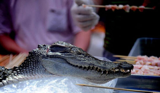 沈阳现“烤鳄鱼肉”20元一串现烤现卖(图)