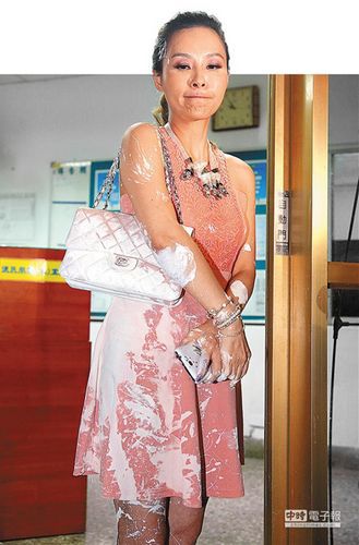 台湾名嘴许圣梅被泼漆凶嫌供称受“大哥”指使