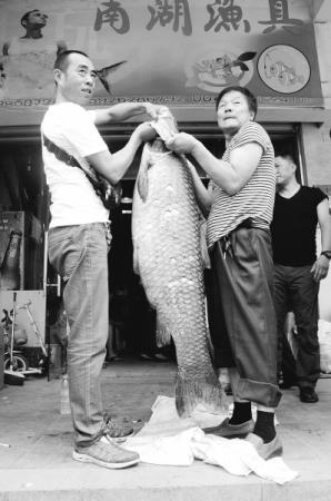 男子湖中钓起70斤大青鱼 折腾2小时才把鱼捕上船