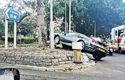法拉利跑车避狗失控车头向天似凌空飞起（图）