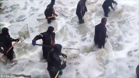 当地居民冲入海中，用网兜打捞琥珀。（图片来源：《每日邮报》）