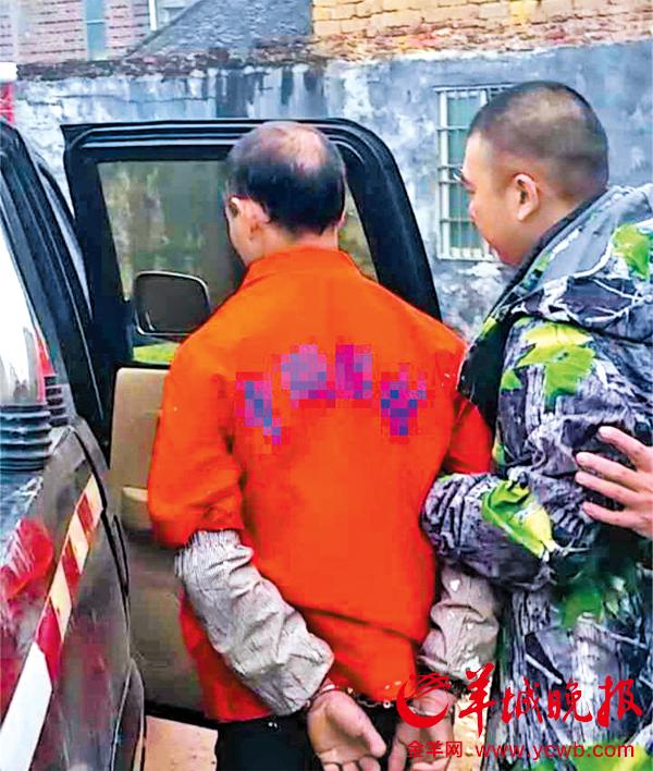 嫌疑人冯某政落网