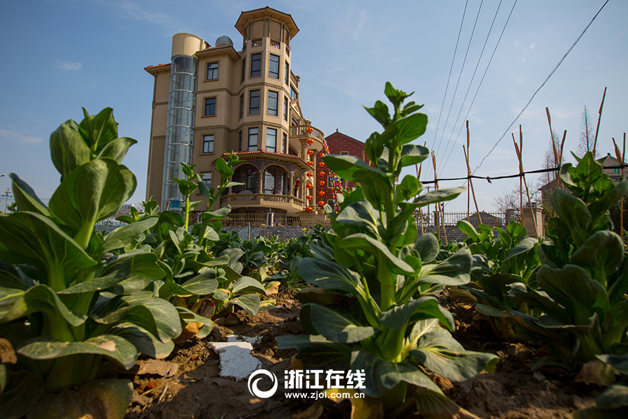 浙江土豪建史上最壕农居房