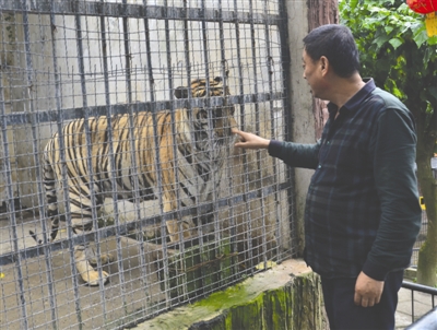 潘金彪