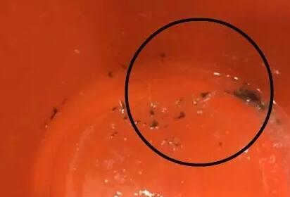 10岁男童被高年级女生逼吃铅笔芯 胃液都变成黑色