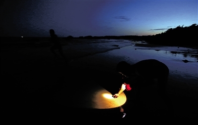 夏季深度游海南 海边抓蟹乐趣无穷