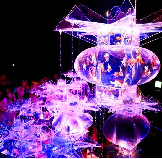 东京都中央区的日本桥三井大厅举行水缸艺术展览“Art Aquarium”