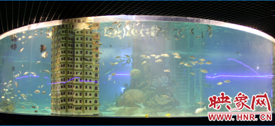 开封东京极地海洋馆