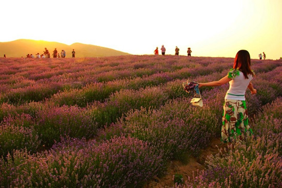 嵖岈山倾情打造中秋节休闲度假全体验