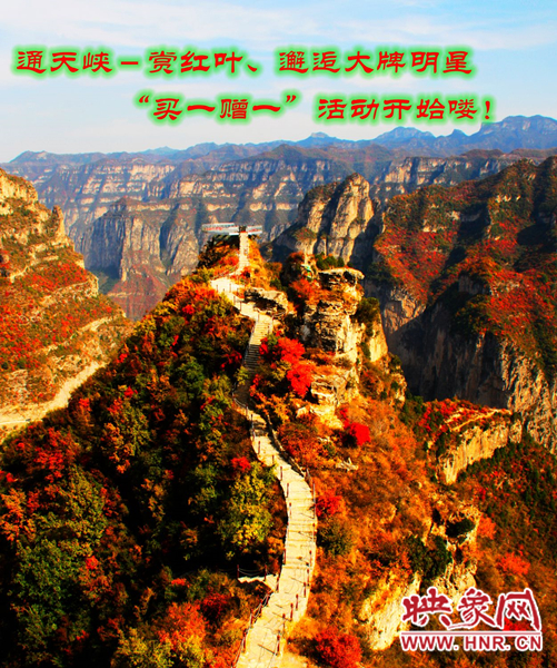 通天峡-赏红叶、邂逅大牌明星 “买一赠一”活动开始喽!