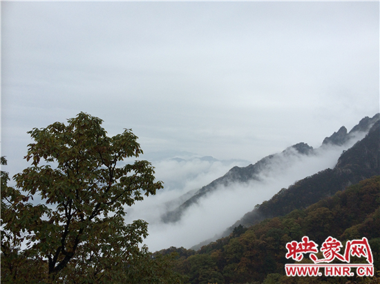 全景栾川·大美老君山 摄影大展颁奖典礼冒雨举办