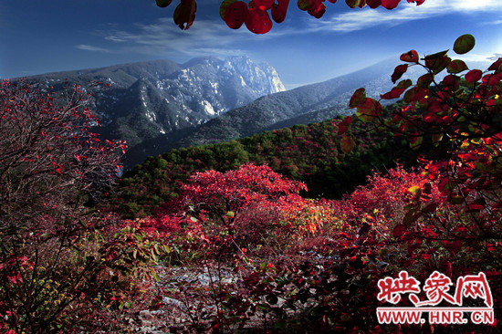 多彩嵩山 红叶情浓