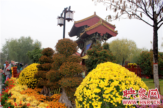 天好、花美 中国开封第32届菊花文化节延长一周