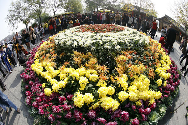 中国(开封)第32届菊花文化节圆满落下帷幕