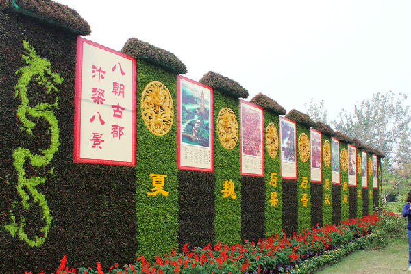 中国(开封)第32届菊花文化节圆满落下帷幕