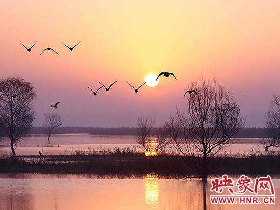 济源小浪底景区积极筹备第五届“观鸟季”