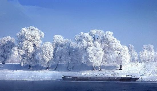 国内适合冬游的目的地 阳光雪景各取所需