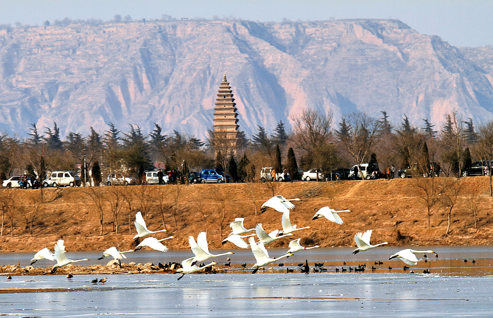 5月19日，“中国旅游日”河南分会场活动将在天鹅之城——三门峡举办。