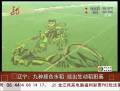 辽宁农民用九种颜色水稻绘哪吒闹海