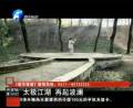 太极江湖 再起波澜