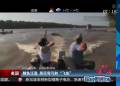 鲤鱼泛滥 居民弯弓射“飞鱼”