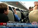 乘客带猪坐飞机 猪到处走被赶下机