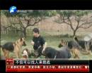 全国最牛警犬“追命”的传奇