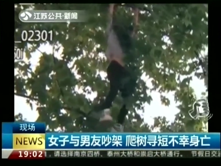女子与男友吵架 爬树寻短不幸身亡