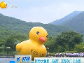 巨型大黄鸭“畅游”本溪关门山水景