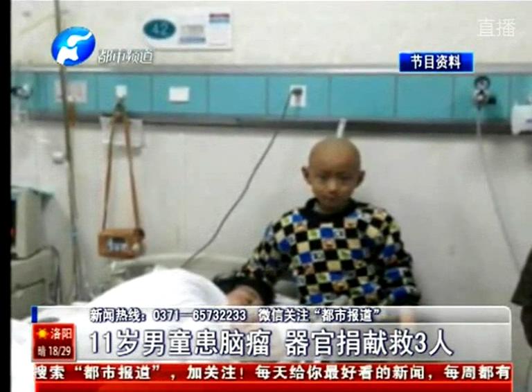 南召11岁脑瘤男童捐献器官救3人