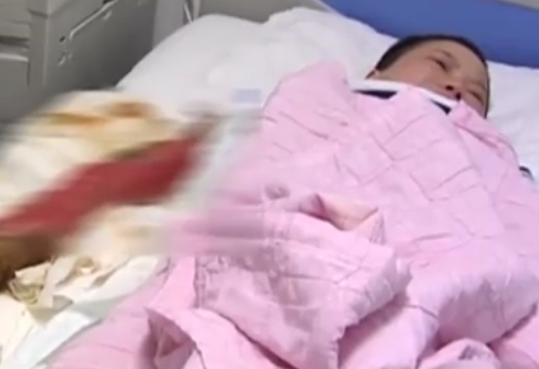 南京女为救人遭两恶犬啃食