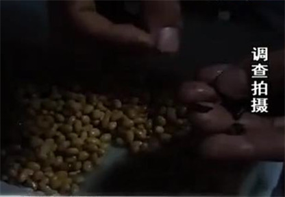 餐厅用掺老鼠屎黄豆做咸菜