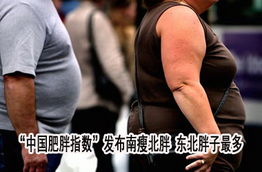 中国肥胖指数:北胖南瘦东北胖子多