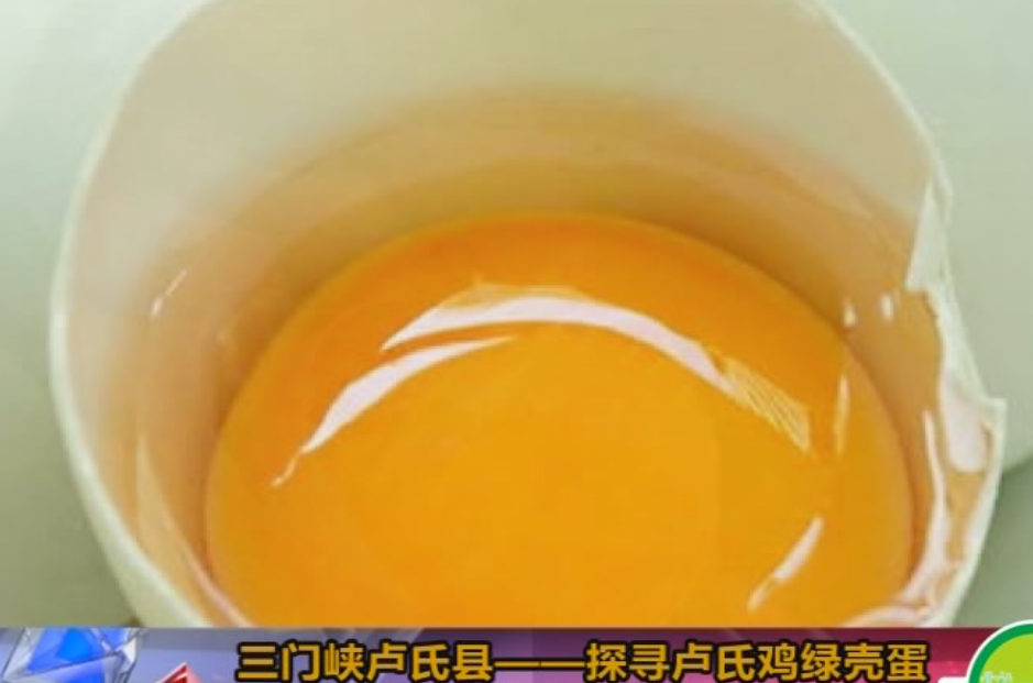 《中国生态SONG》之豫媒优品定养卢氏绿壳蛋