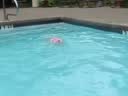 实拍16个月女婴一口气游过游泳池