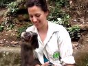 聪明的猴子咬不动食物知道求助人类