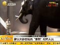 韩国大象说话 研究人员分析称太寂寞