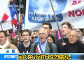 法国：民众游行反对同性恋婚姻法