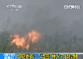 印尼外长：“烧芭”林火已被控制