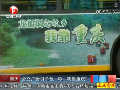 重庆公交车身广告“我靠重庆”惹争议