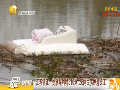 江苏镇江一处洲堤坍塌310米 28间民房掉进长江