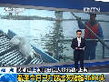 上海：截至今日已打捞出死猪超4600头